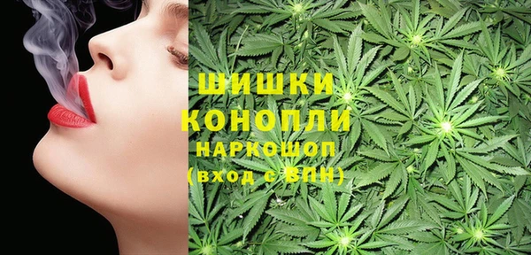 наркотики Бородино